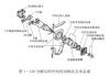 汽车传动轴的正确安装有什么条件-汽车传动轴工作