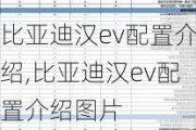 比亚迪汉ev配置介绍,比亚迪汉ev配置介绍图片