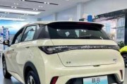 比亚迪海豚2022款缺点,比亚迪海豚 suv