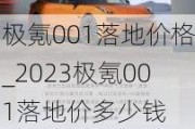 极氪001落地价格_2023极氪001落地价多少钱