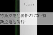 特斯拉电池价格21700-特斯拉电池价钱