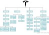 特斯拉的股权结构-特斯拉股权结构图2024年