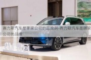 赛力斯汽车是哪家公司的品牌啊-赛力斯汽车是哪家公司的品牌