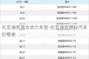 比亚迪双混合动力车型-比亚迪双燃料汽车价格表