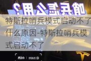 特斯拉哨兵模式启动不了什么原因-特斯拉哨兵模式启动不了