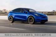 特斯拉suv30万左右越野车_特斯拉越野价格