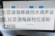 比亚迪海豚换挡水滴声设置,比亚迪海豚档位滚轮式好吗