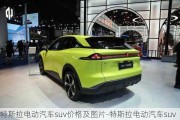 特斯拉电动汽车suv价格及图片-特斯拉电动汽车suv