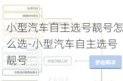 小型汽车自主选号靓号怎么选-小型汽车自主选号靓号