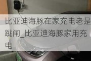 比亚迪海豚在家充电老是跳闸_比亚迪海豚家用充电