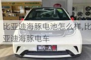 比亚迪海豚电池怎么样,比亚迪海豚电车