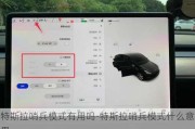 特斯拉哨兵模式有用吗-特斯拉哨兵模式什么意思