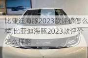 比亚迪海豚2023款评价怎么样,比亚迪海豚2023款评价怎么样啊