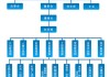 福特汽车质量管理体系-福特汽车质量组织