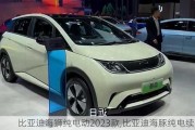 比亚迪海狮纯电动2023款,比亚迪海豚纯电续航