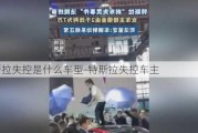 特斯拉失控是什么车型-特斯拉失控车主