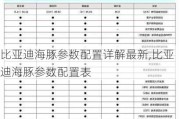 比亚迪海豚参数配置详解最新,比亚迪海豚参数配置表