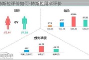 特斯拉评价如何-特斯拉用车评价