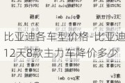 比亚迪各车型价格-比亚迪12天8款主力车降价多少