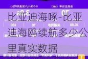 比亚迪海啄-比亚迪海鸥续航多少公里真实数据