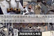 汽车发动机水箱盖喷水怎么回事儿-汽车发动机水箱盖喷水怎么回事