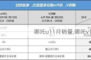 哪吒u11月销量,哪吒v12月销量