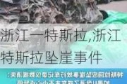 浙江一特斯拉,浙江特斯拉坠崖事件