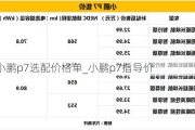 小鹏p7选配价格单_小鹏p7指导价