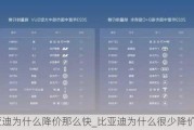 比亚迪为什么降价那么快_比亚迪为什么很少降价