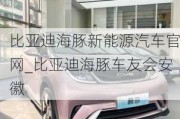 比亚迪海豚新能源汽车***_比亚迪海豚车友会安徽