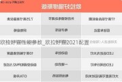 欧拉好猫性能参数_欧拉好猫2021配置