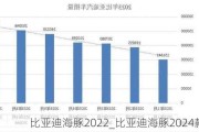 比亚迪海豚2022_比亚迪海豚2024款销量