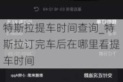 特斯拉提车时间查询_特斯拉订完车后在哪里看提车时间