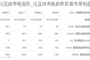 比亚迪海豚高配_比亚迪海豚参数配置表最新版