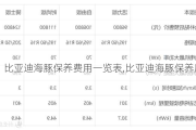 比亚迪海豚保养费用一览表,比亚迪海豚保养周期