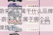 蔚来汽车属于什么品牌-蔚来汽车属于哪个品牌旗下