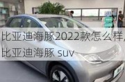 比亚迪海豚2022款怎么样,比亚迪海豚 suv