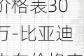 比亚迪电车价格表30万-比亚迪电车价格表30万元