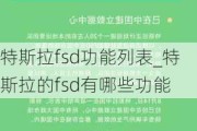 特斯拉fsd功能列表_特斯拉的fsd有哪些功能