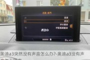 奥迪a3突然没有声音怎么办?-奥迪a3没有声音怎么回事