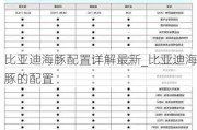 比亚迪海豚配置详解最新_比亚迪海豚的配置