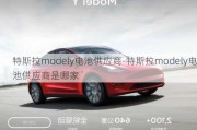 特斯拉modely电池供应商-特斯拉modely电池供应商是哪家