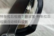 特斯拉后视镜下翻设置-特斯拉后视镜自动倾斜设置