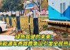 新能源车怎么交养路税-新能源汽车怎样征收缴养路费