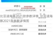 比亚迪海豚2021款参数详情_比亚迪海豚2021款参数详情图