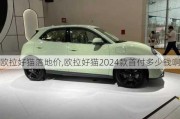 欧拉好猫落地价,欧拉好猫2024款首付多少钱啊