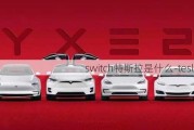 switch特斯拉是什么-tesla ns