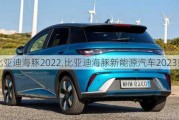 比亚迪海豚2022,比亚迪海豚新能源汽车2023款