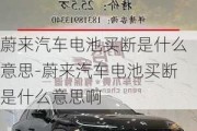 蔚来汽车电池买断是什么意思-蔚来汽车电池买断是什么意思啊