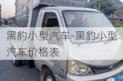 黑豹小型汽车-黑豹小型汽车价格表